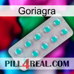 Goriagra 28